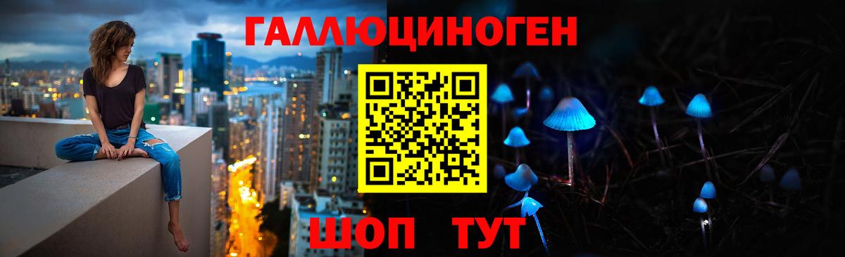 Псилоцибиновые грибы MAGIC MUSHROOMS Торжок