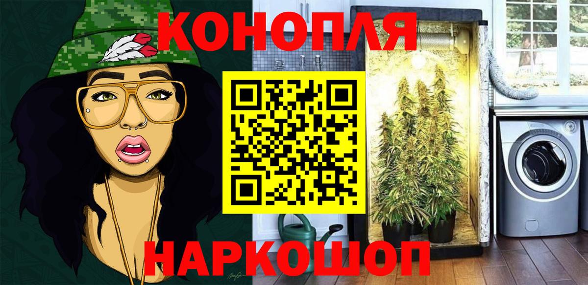 Марихуана сатива  Вход с VPN  Бошки марихуана гибрид  Торжок 